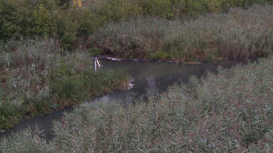 A cservenkai cukorgyárnak megtiltották a szennyvízkibocsájtást