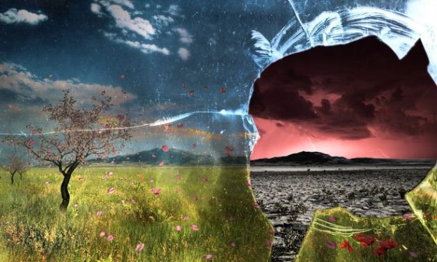 A kijelentések és a valóság