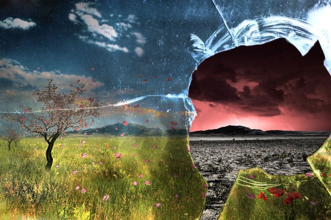 A kijelentések és a valóság