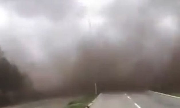 A meteorológus szerint nem tornádó volt Inđijánál, hanem forgószél (videó)