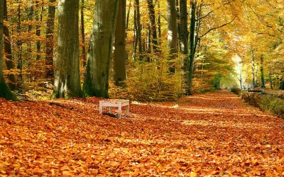 Az őszi szünetre még várni kell és hétvégével együtt akkor is csak négy napos lesz