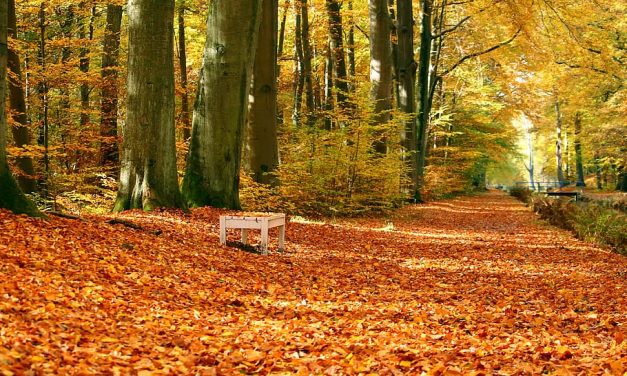 Az őszi szünetre még várni kell és hétvégével együtt akkor is csak négy napos lesz