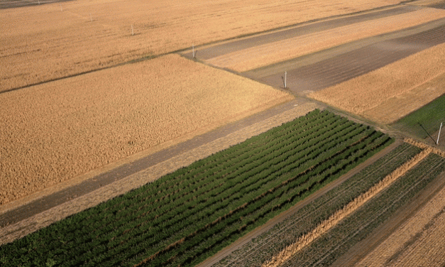 Vagyon-visszaszármaztatás: A tulajdonosok tizenöt százalékát kapják majd vissza az elkobzott vagyonuknak