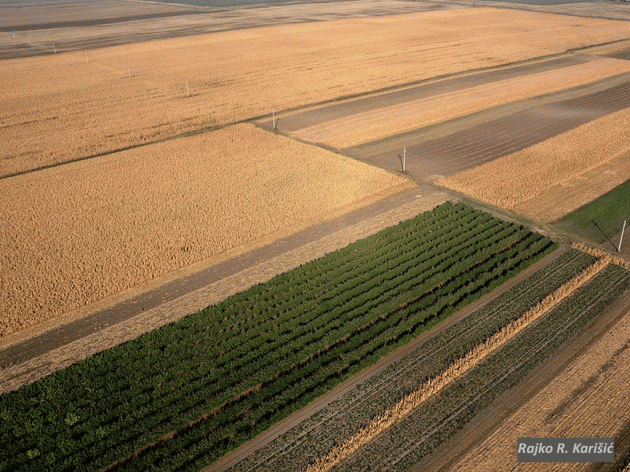 Vagyon-visszaszármaztatás: A tulajdonosok tizenöt százalékát kapják majd vissza az elkobzott vagyonuknak