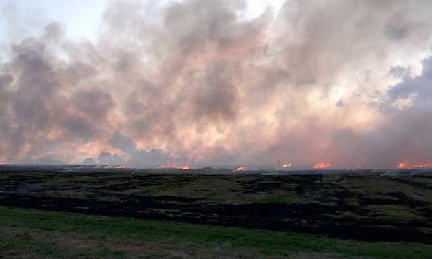 Nincs pénz az őszi munkálatokra, ezért égetik a földművesek a tarlót