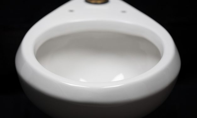 Óriási vízmegtakarítást eredményez egy forradalmian új vécékagyló-bevonat