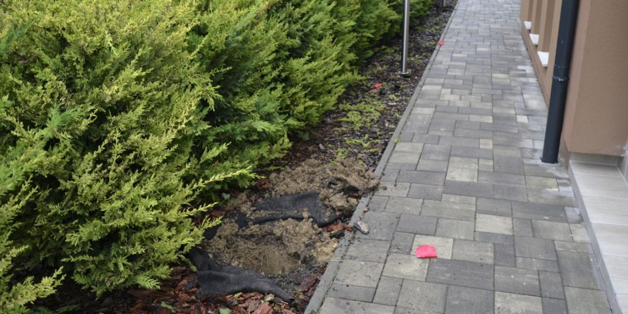 Több mint félmilliónyi eurót ásott el a tuják tövében egy drogkereskedő