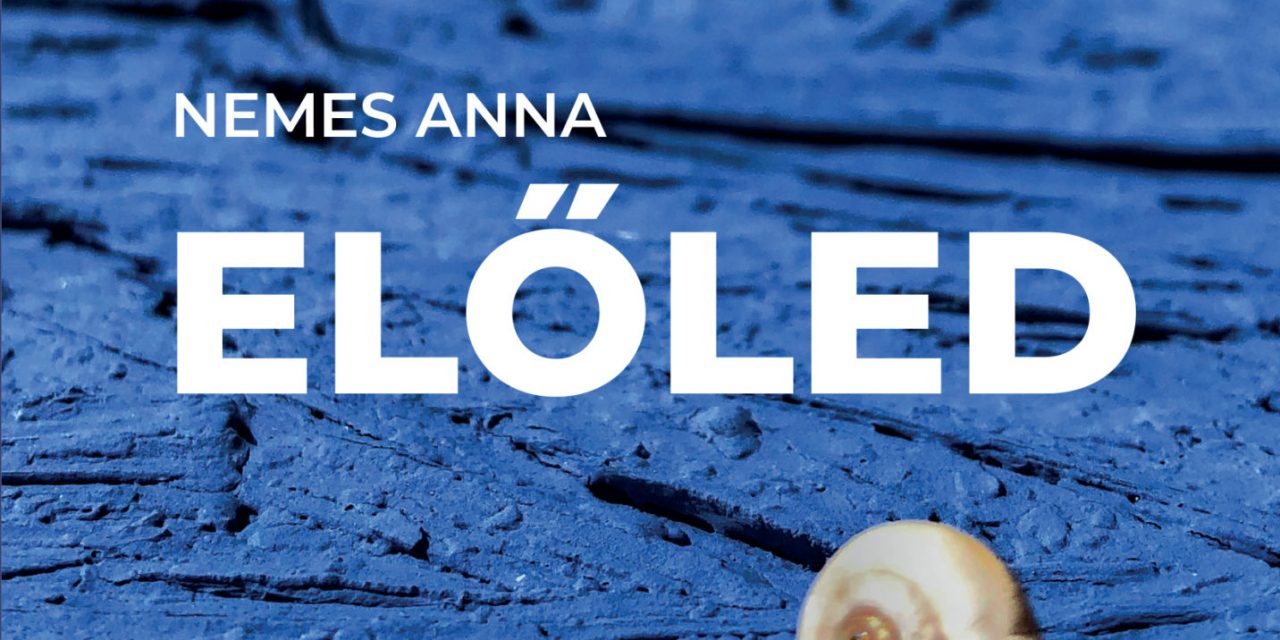 <span class="entry-title-primary">A hónap könyve: Felkeverni a zaccot</span> <span class="entry-subtitle">Nemes Anna: Előled. Noran Libro Kiadó, Budapest, 2019</span>