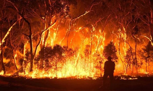 Ausztrál tűzvész: Áradásokat okoznak a heves zivatarok, de sok helyütt ég még a bozót és az erdő