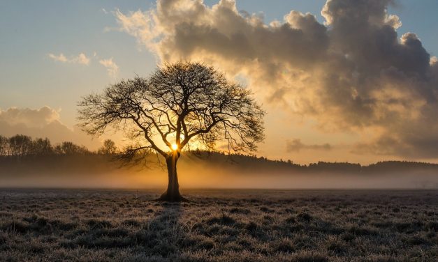 Szombaton tizenöt Celsius-fok felett lesz a hőmérséklet
