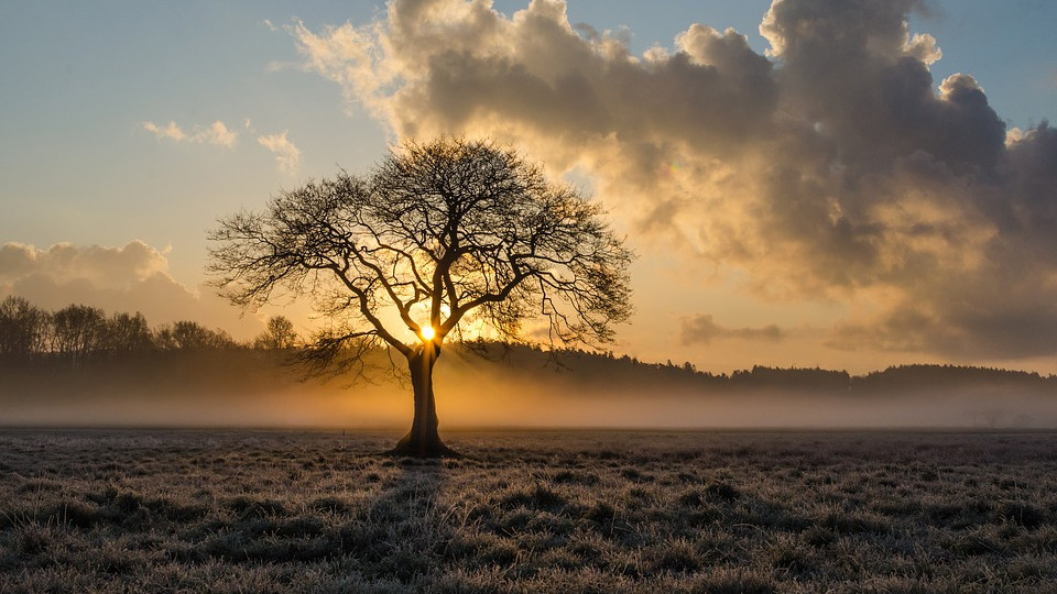 Szombaton tizenöt Celsius-fok felett lesz a hőmérséklet
