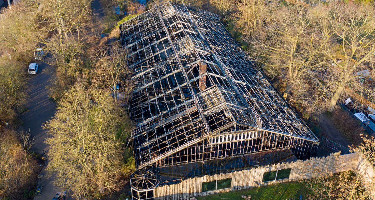 Három nő ellen indult vizsgálat a krefeldi állatkerti tűzeset miatt