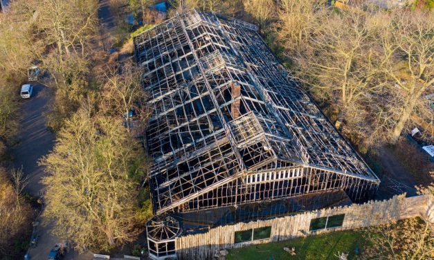 Három nő ellen indult vizsgálat a krefeldi állatkerti tűzeset miatt