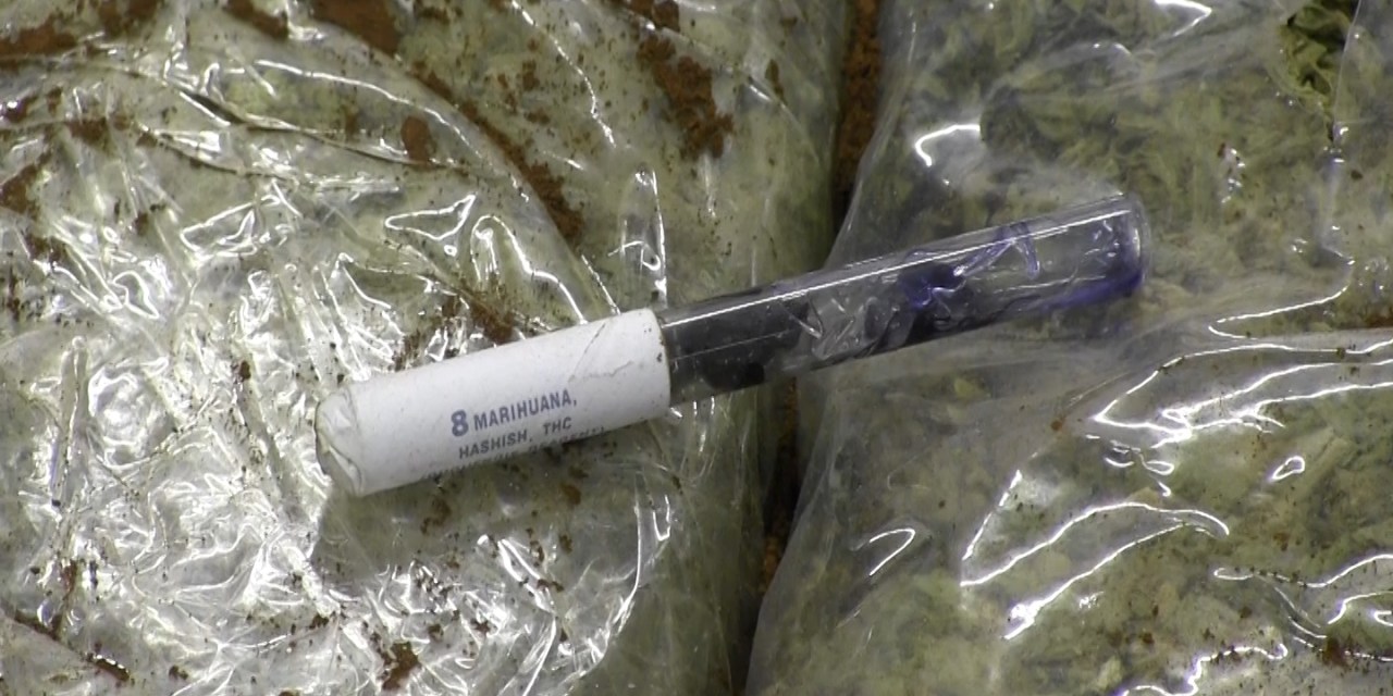 Hét év tíz hónap börtönbüntetést kapott egy montenegrói kábítószercsempész Szegeden