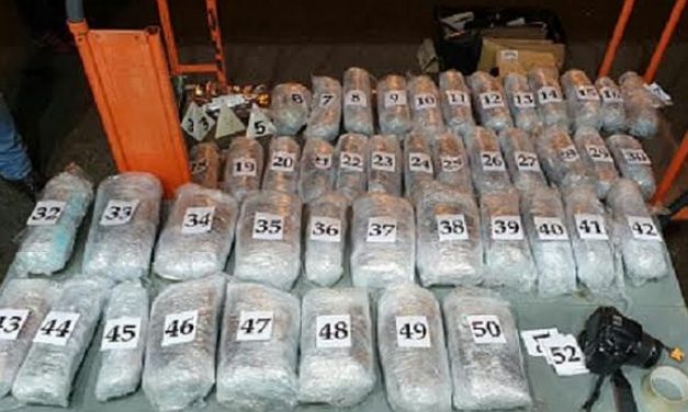 17 kiló marihuánával bukott le egy újvidéki férfi Horgosnál (fotók)