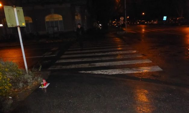 Czegledi: Zentán folyamatban van a közvilágítás javítása és felszerelése