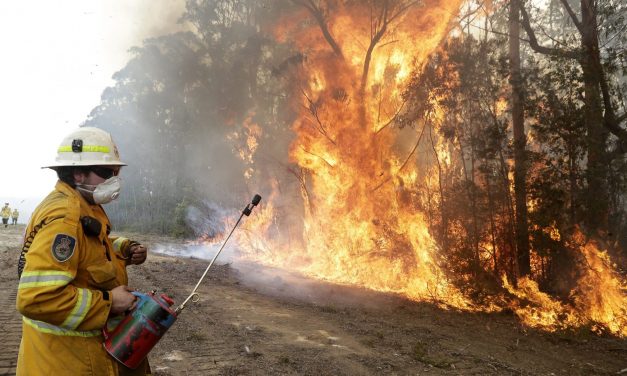 <span class="entry-title-primary">Azt akarjuk, hogy pánikba essenek</span> <span class="entry-subtitle">Szerbiai sajtószemle (2020. január 2-8.)</span>