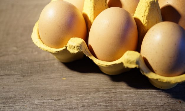 Szerbiában új szabályzat szerint kell megjelölni a forgalomba helyezett tojást