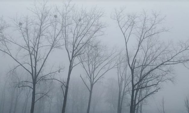 A sűrű köd miatt három repülőgép nem indult el Belgrád felé