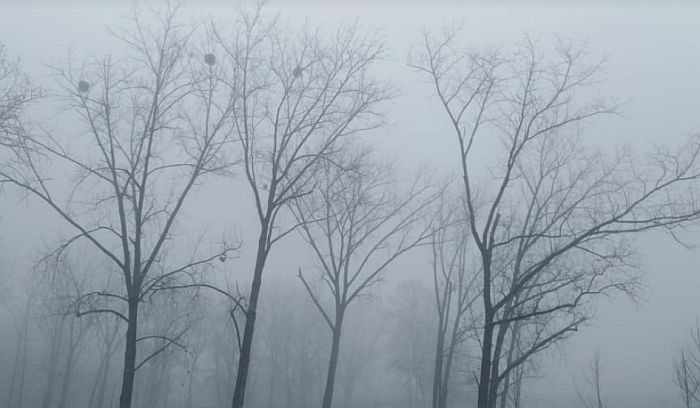 A sűrű köd miatt három repülőgép nem indult el Belgrád felé