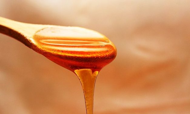 Tiltott antibiotikum a szerbiai akácmézben