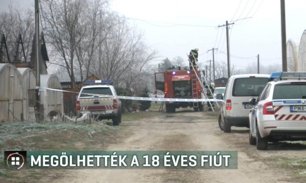 Testvérgyilkosság történt Mórahalmon