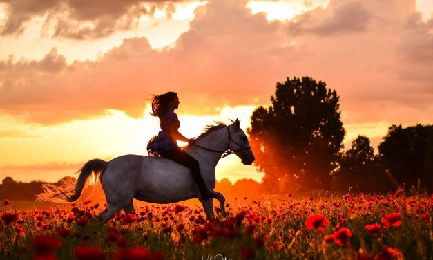 <span class="entry-title-primary">XCVI. szonett</span> <span class="entry-subtitle">William Shakespeare költeménye</span>