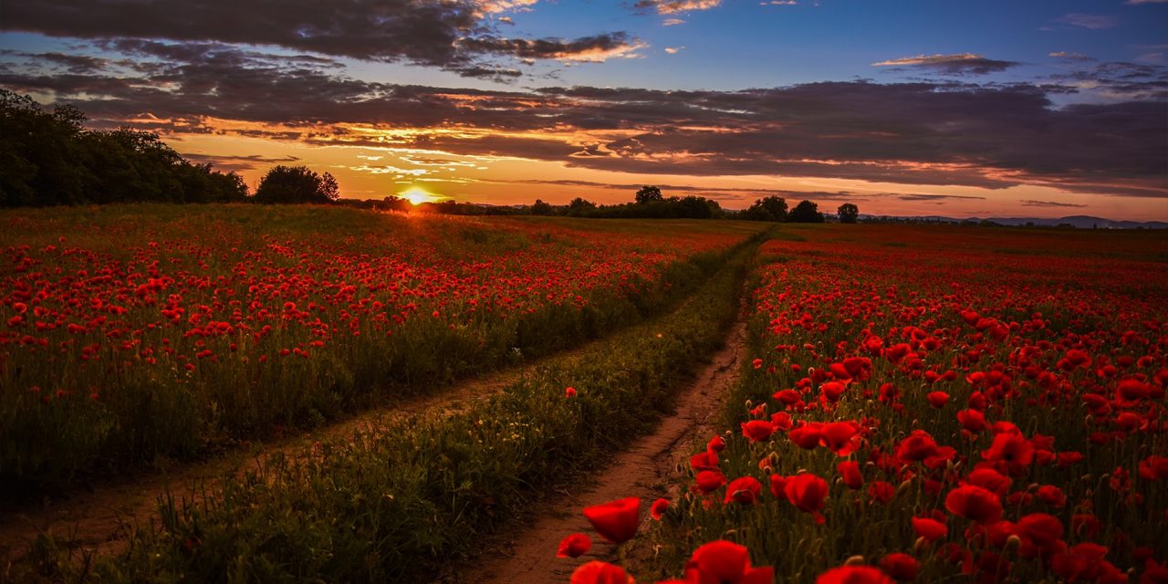 <span class="entry-title-primary">a gond</span> <span class="entry-subtitle">Bartha György verse</span>