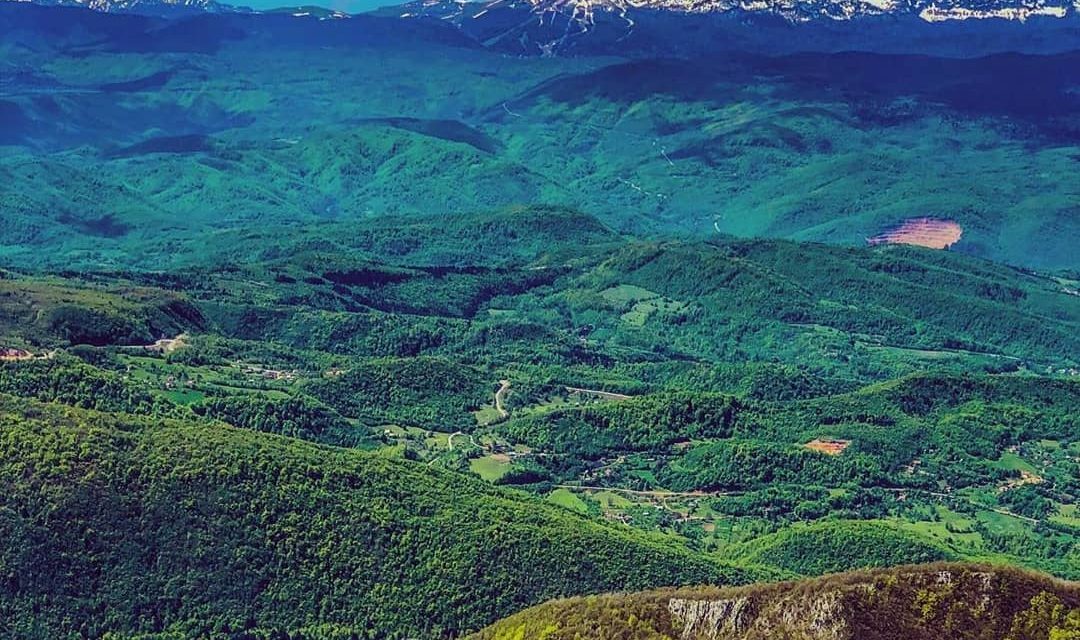 <span class="entry-title-primary">XCV. szonett</span> <span class="entry-subtitle">William Shakespeare költeménye</span>