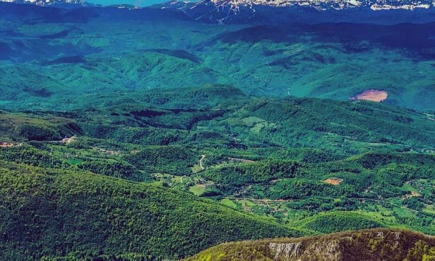 <span class="entry-title-primary">XCV. szonett</span> <span class="entry-subtitle">William Shakespeare költeménye</span>