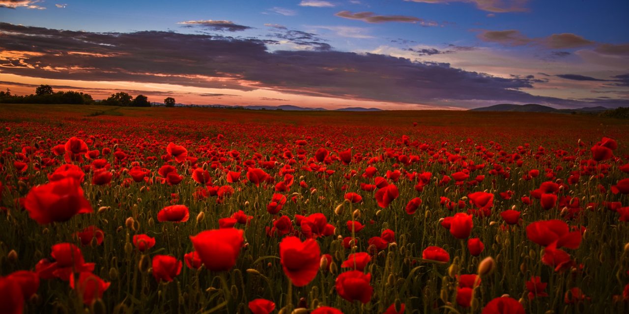 <span class="entry-title-primary">a gyakorlatias</span> <span class="entry-subtitle">Bartha György verse</span>