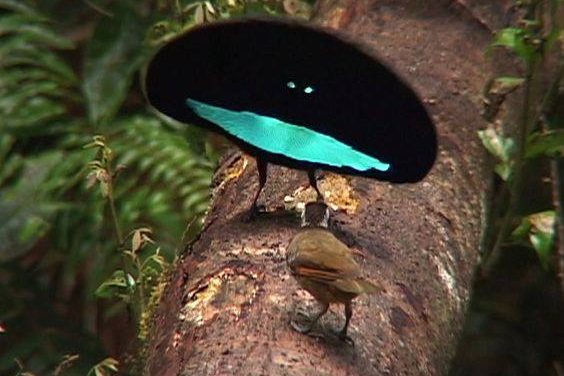 <span class="entry-title-primary">nehéz az ébredés</span> <span class="entry-subtitle">Szabó Palócz Attila verse</span>