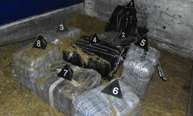 Szerb rendőrök 140 kiló marihuánát találtak egy teherautóban (fotók)