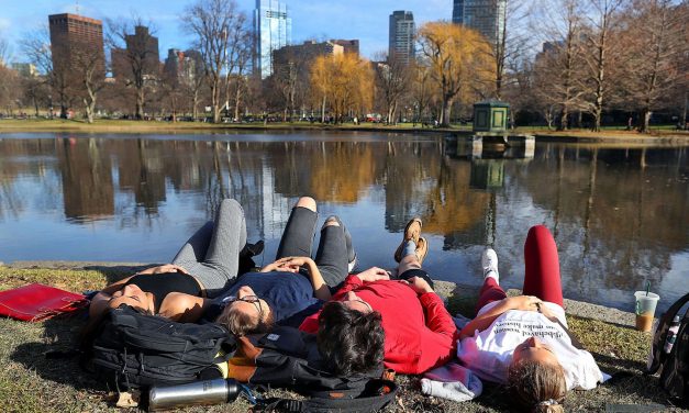 Minden idők legmelegebb januárja volt az idei
