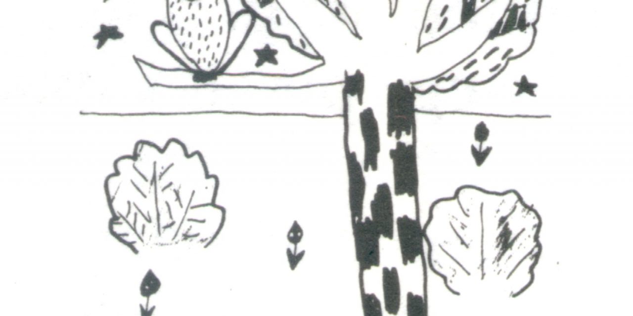 <span class="entry-title-primary">képeskönyv</span> <span class="entry-subtitle">Szabó Palócz Attila verse</span>