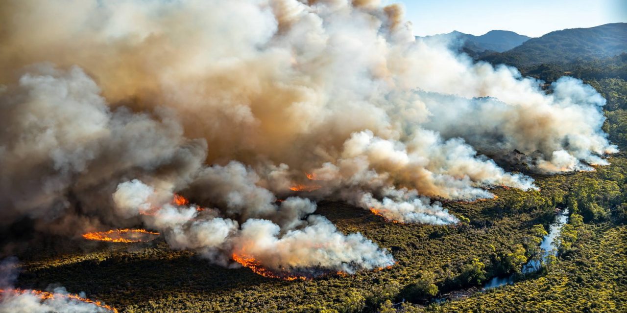 Az erdők ötödét elpusztították a bozóttüzek Ausztráliában