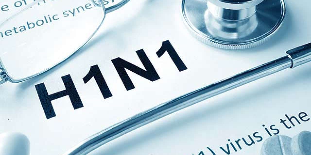 Sertésinfluenza miatt halt meg egy fiatal szerbiai nő Bahreinben