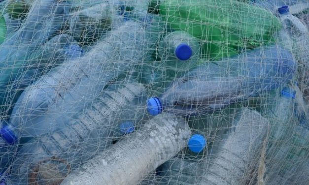 Betétdíjasak lesznek a műanyag flakonok