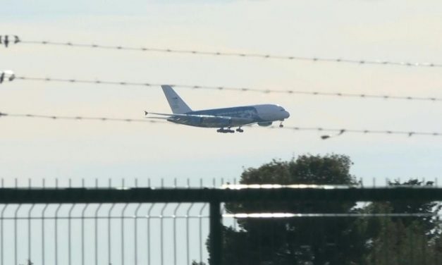 Megérkeztek Franciaországba a Vuhanból kimenekített szerbiai állampolgárok