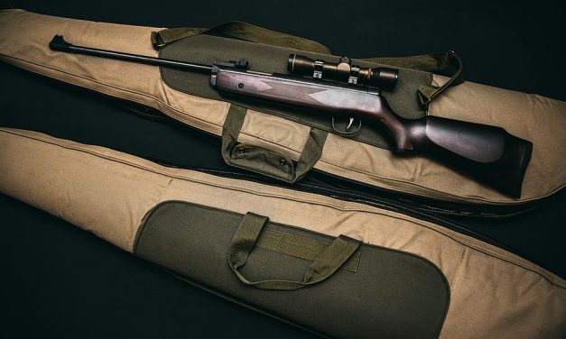 A szerbiai fegyvertulajdonosok többsége elégedetlen az új rendelkezésekkel