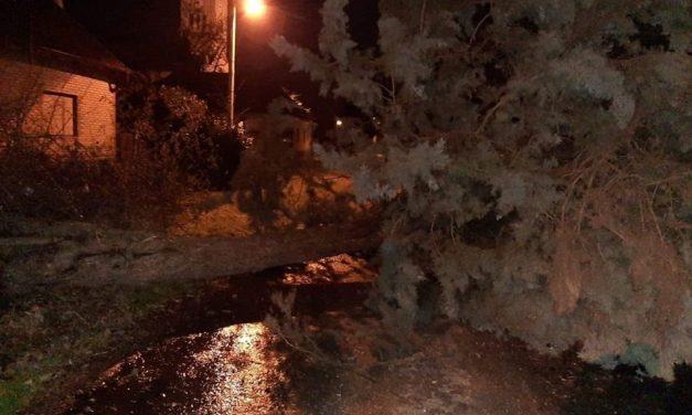 Tavankút: Egész délután tombolt a viharos erejű szél