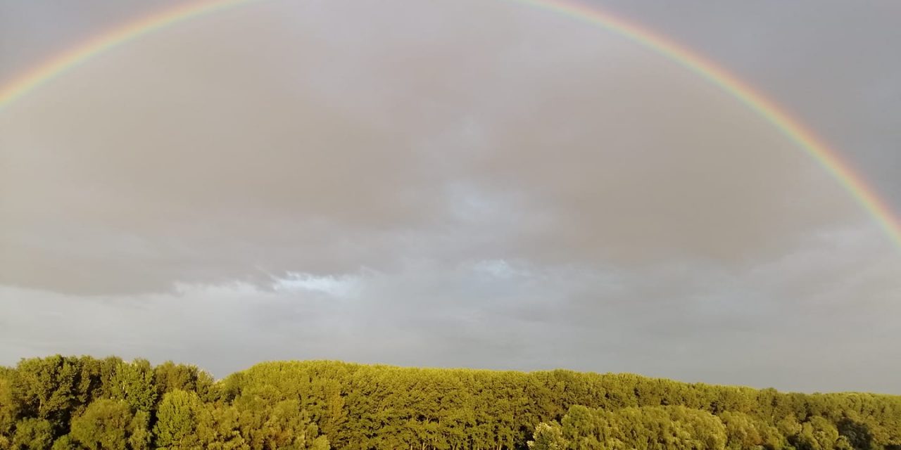 Egyenlő jogokat minden embernek – pártállástól, nemzetiségtől függetlenül