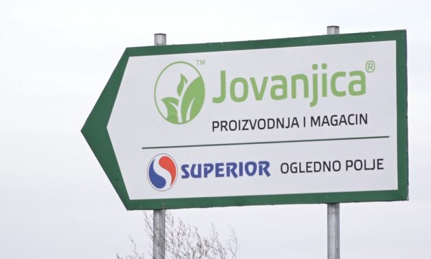 Vádemelés a Jovanjica-ügyben