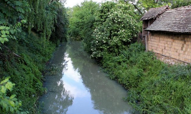 Újabb illegális gátat fedeztek fel a Krivaj patakon