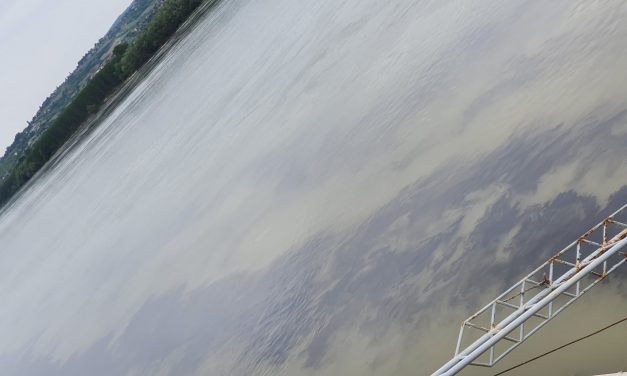 Újvidék: Hatalmas olajfoltot észleltek a Dunán (fotók)