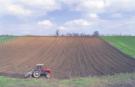 Bánáti fiatal férfi holtestére bukkantak a határban