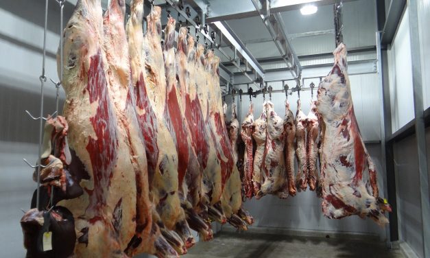 Újabb német vágóhídon szabadult el a koronavírus