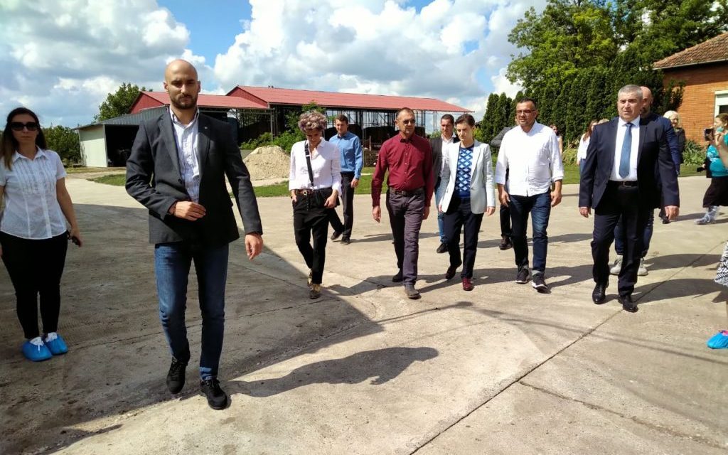 Nincs ember, így a robotok fejik a teheneket