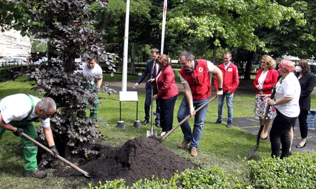 <span class="entry-title-primary">Véradók világnapja</span> <span class="entry-subtitle">Budapesten vérbükköt ültettek</span>