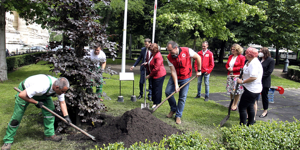 <span class="entry-title-primary">Véradók világnapja</span> <span class="entry-subtitle">Budapesten vérbükköt ültettek</span>